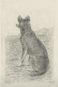 hond-lebret